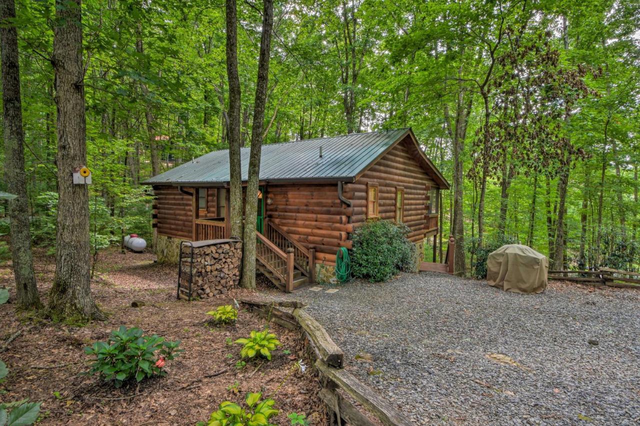 Pinot And Pine Chic Log Cabin About 5 Mi To Blue Ridge Ngoại thất bức ảnh